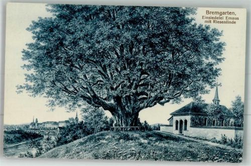 5620 Bremgarten AG Foto AK Einsiedelei Emaus mit Riesenlinde