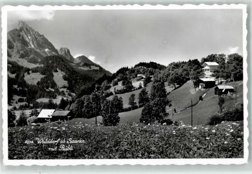 3792 Saanen - Walddorf Rübli