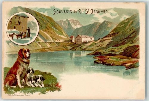 1946 Bourg-St-Pierre Lithographie Hospiz auf dem Grossen St. Bernhard Hunde Bernardiener