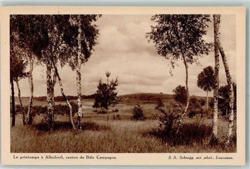 4123 Allschwil Neuallschwil - Frühling