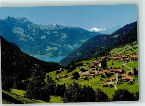 3804 Habkern - Blick auf Thunersee und Wildhorn