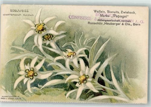 3000 Bern Berne - Werbung Waffeln Biscuits Marke Papagei Edelweiss