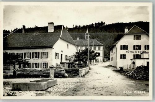 2517 Diesse Foto AK Hotel de l´Ours