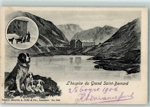 Grand St Bernard 1906 Gebrauchsspuren Hospice du Grand Saint Bernhard - Hunde Bernhardiner
