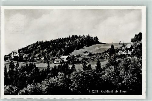 3624 Goldiwil (Thun)