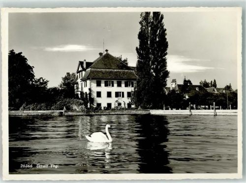 8592 Uttwil Gebrauchsspuren Schwan Foto Gross