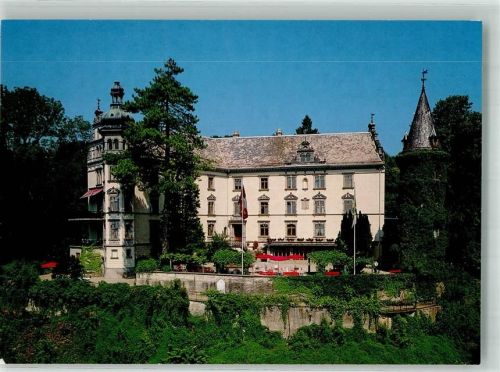 8536 Hüttwilen 1987 Foto AK Schloss Steinegg Kurhotel