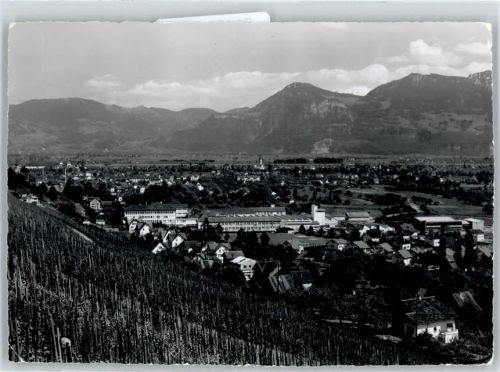 9435 Heerbrugg - Gesamtansicht