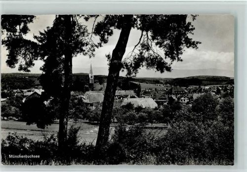3053 Münchenbuchsee - Bäume
