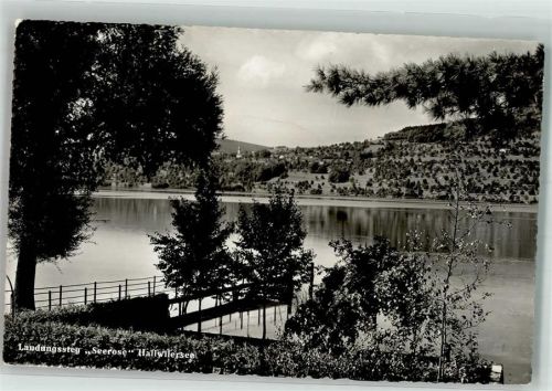 5616 Meisterschwanden 1955 Foto AK Hallwilersee