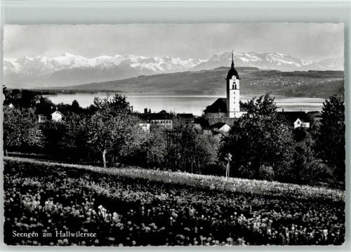 5707 Seengen - am Hallwilersee