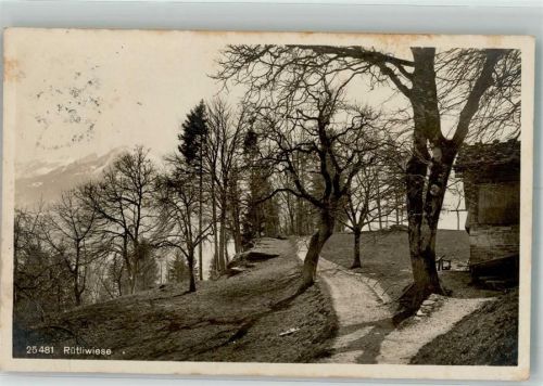 6441 Rütli 1923 Foto AK Rütliwiese