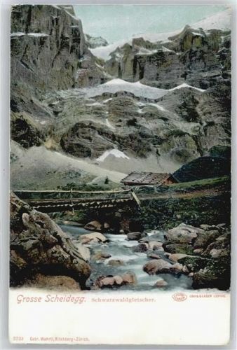 Grosse Scheidegg - Schwarzwaldgletscher