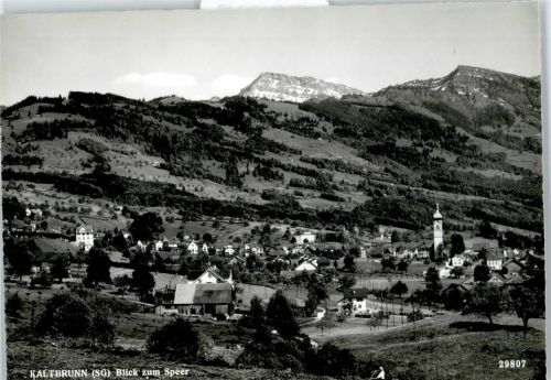 8722 Kaltbrunn - Gesamtansicht, Speer