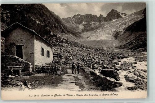 Col de la Forclaz - Glacier du Trient