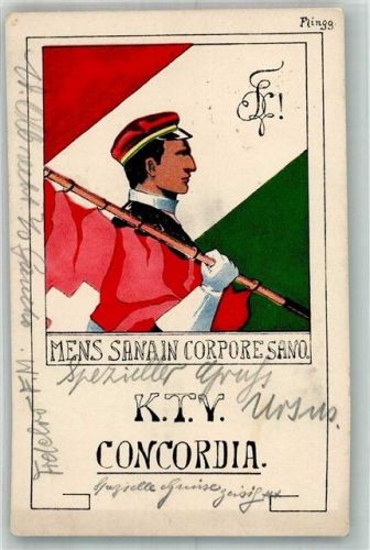 8500 Frauenfeld 1917 - sign. Flingg K.T.V. Concordia Ort lt. Stempel