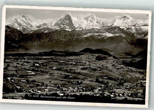 3638 Blumenstein Foto AK Feldpost Nr. 39