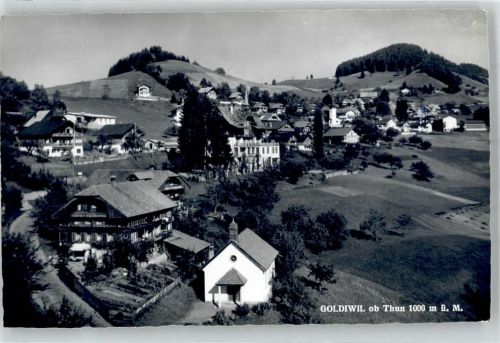 3624 Goldiwil (Thun)