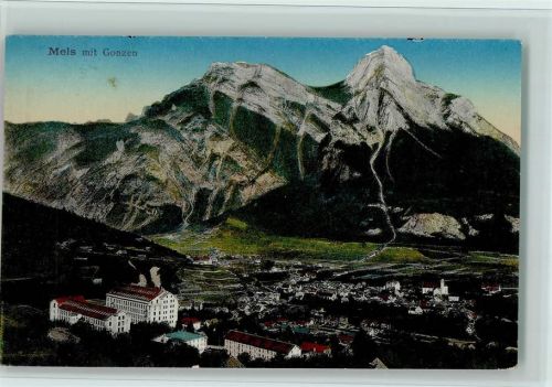 8887 Mels 1917 - Telansicht,gute Erhaltung AK