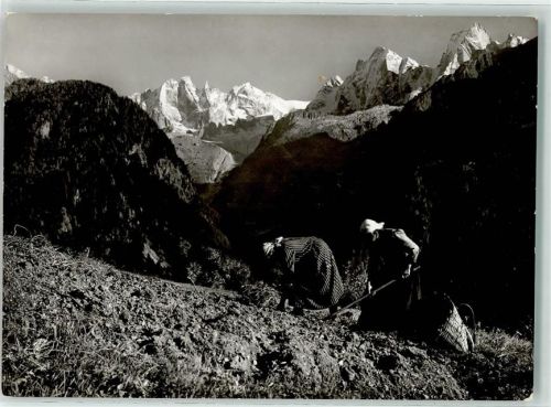 7610 Soglio - Kartoffelernte