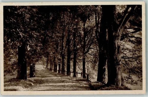 3000 Bern Berne - Elfenau