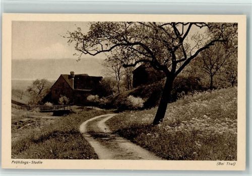 9425 Thal - Frühlings-Studie