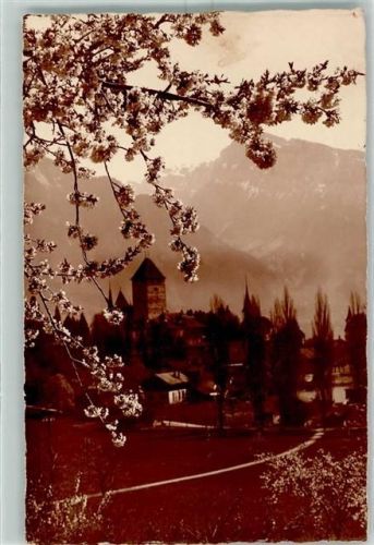 Riederhorn 1923 - Schloss Spiez