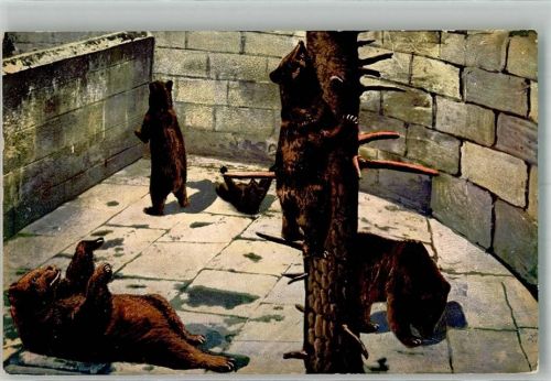 3000 Bern Berne 1914 Künstlerkarte Bären bei unterschiedlichen Beschäftigungen