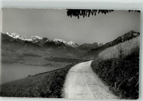 3657 Schwanden Sigriswil 1961 Foto AK Mageliweg Thunersee