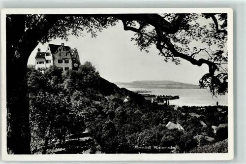 8268 Salenstein - Schloss