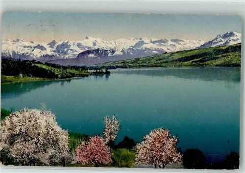 5600 Lenzburg - Hallwilersee Ort lt. Stempel