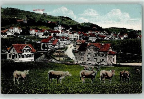 9104 Waldstatt 1912 - Kühe