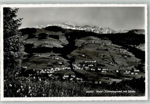 9105 Schönengrund 1953 Foto AK