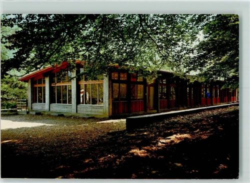 6618 Arcegno - Campo Pestalozzi Casa Enrico Pestalozzi