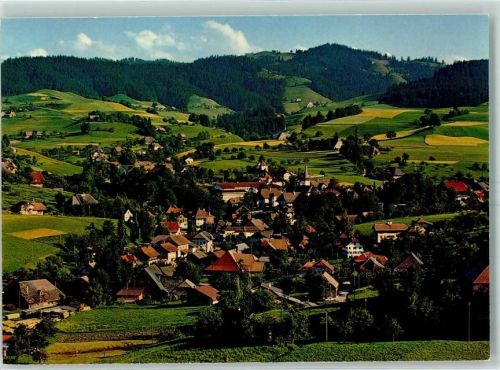 4952 Eriswil 1979 - im Emmental mit Ahorn