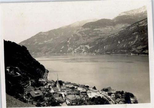 8874 Mühlehorn - Teilansicht, Walensee