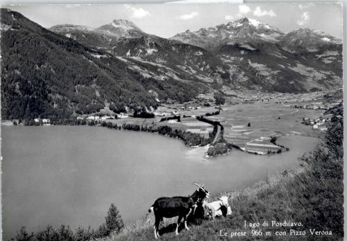 7746 Le Prese - Lago di Poschiavo