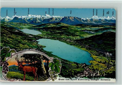5707 Seengen - 1913 Vogelperspektive Hirsch