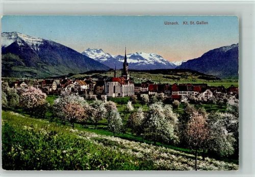 8730 Uznach - Baumblüte