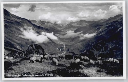 Furka - Schäfer mit Herde