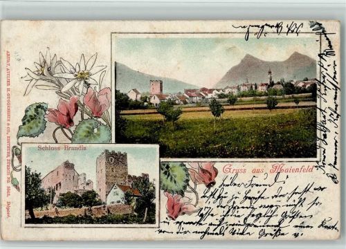 7304 Maienfeld - 1902 Schloss Brandis Edelweiß Alpenveilchen