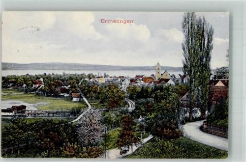 8272 Ermatingen 1918 Foto AK