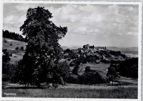 8158 Regensberg - Gesamtansicht