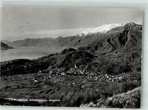 6616 Losone 1955 Foto AK Lago Maggiore Arcegno
