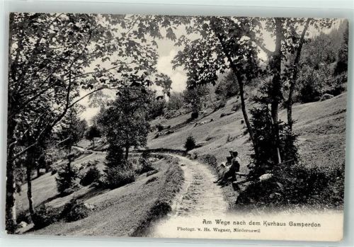 8898 Tannenboden Flumserberg 1910 - Auf dem Weg zum Kurhaus Gamperdon