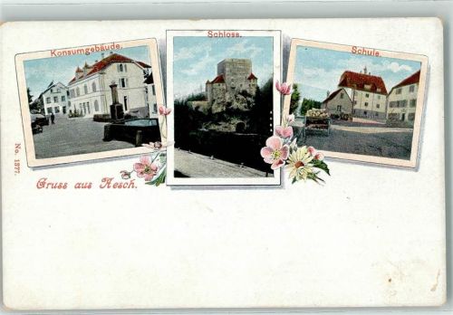 4147 Aesch BL - Schloss Schule