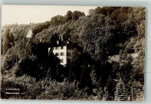 8268 Mannenbach-Salenstein Foto AK Louisenbach