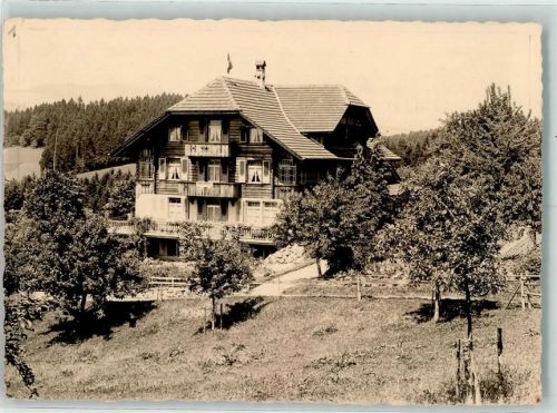 3624 Goldiwil (Thun) Foto AK Prnsion Waldrösli