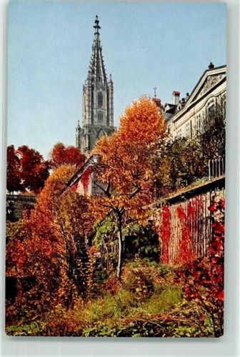 3000 Bern Berne - Münster Herbst