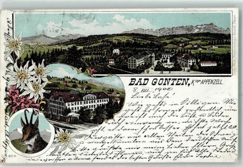 9108 Gonten 1900 Lithographie Gämse